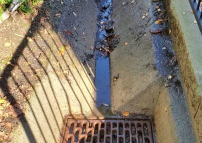 drain cleaning